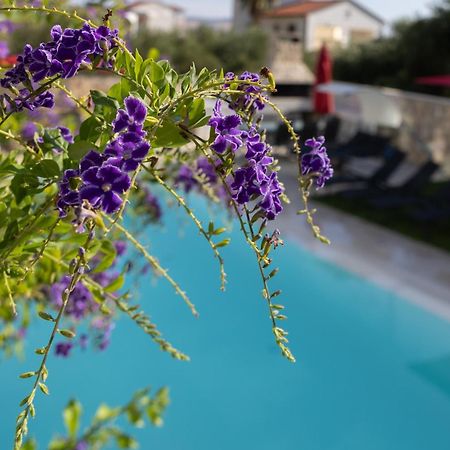Villa Aqua زابوريتش المظهر الخارجي الصورة