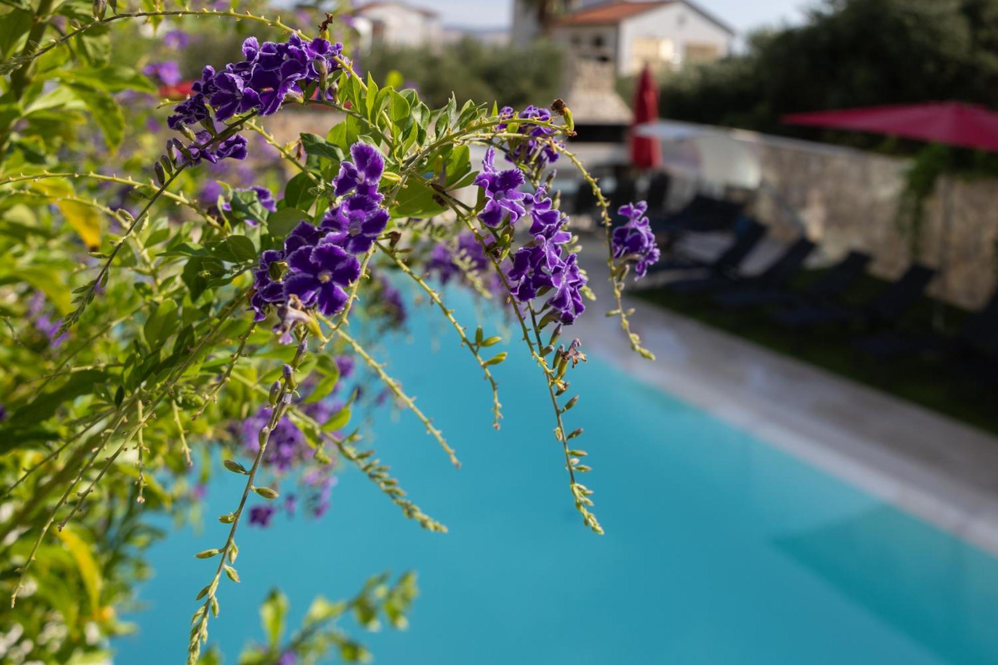 Villa Aqua زابوريتش المظهر الخارجي الصورة