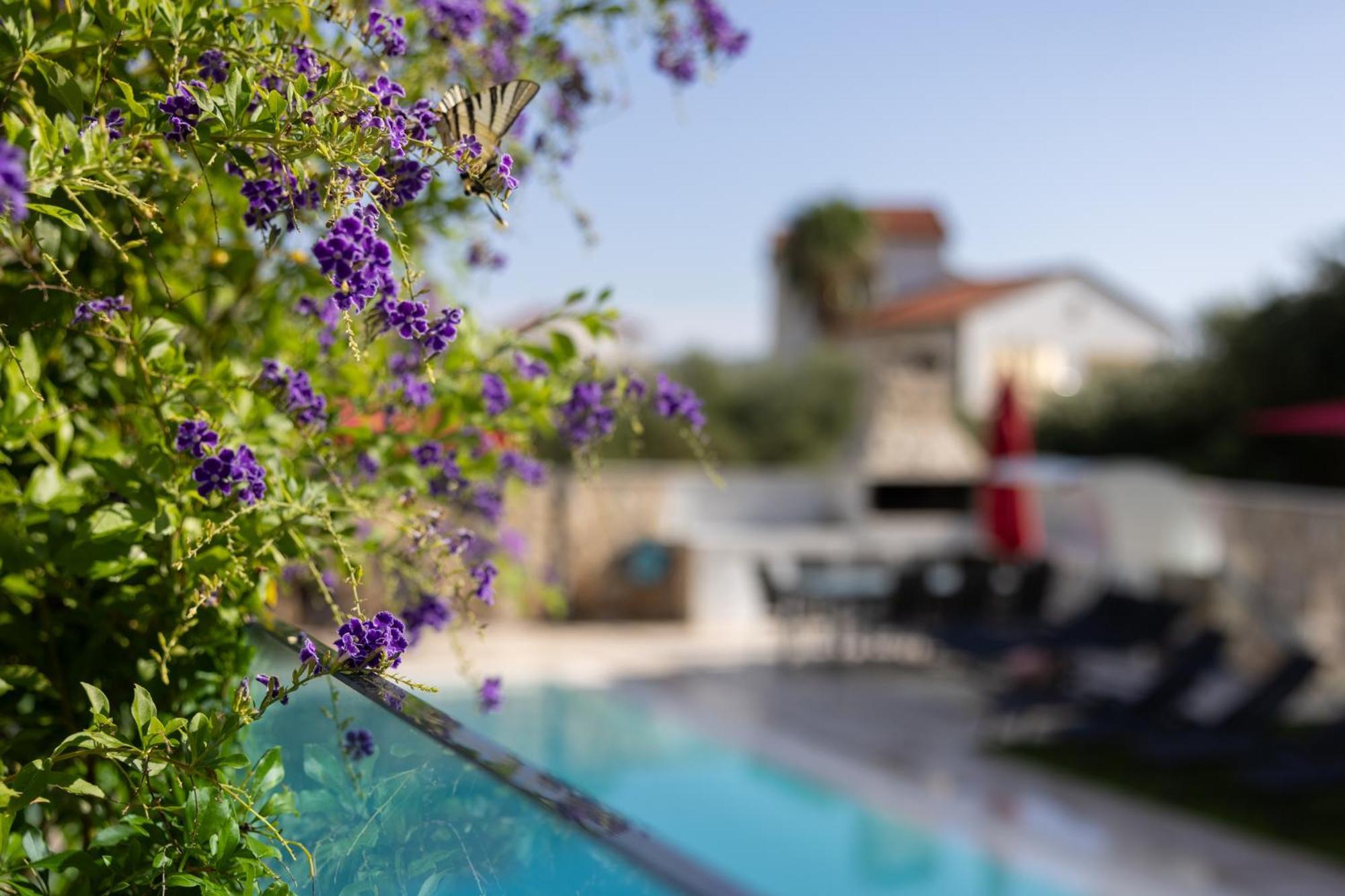 Villa Aqua زابوريتش المظهر الخارجي الصورة